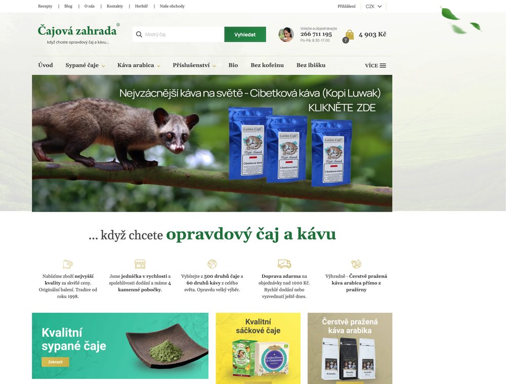 E-shop před úpravou